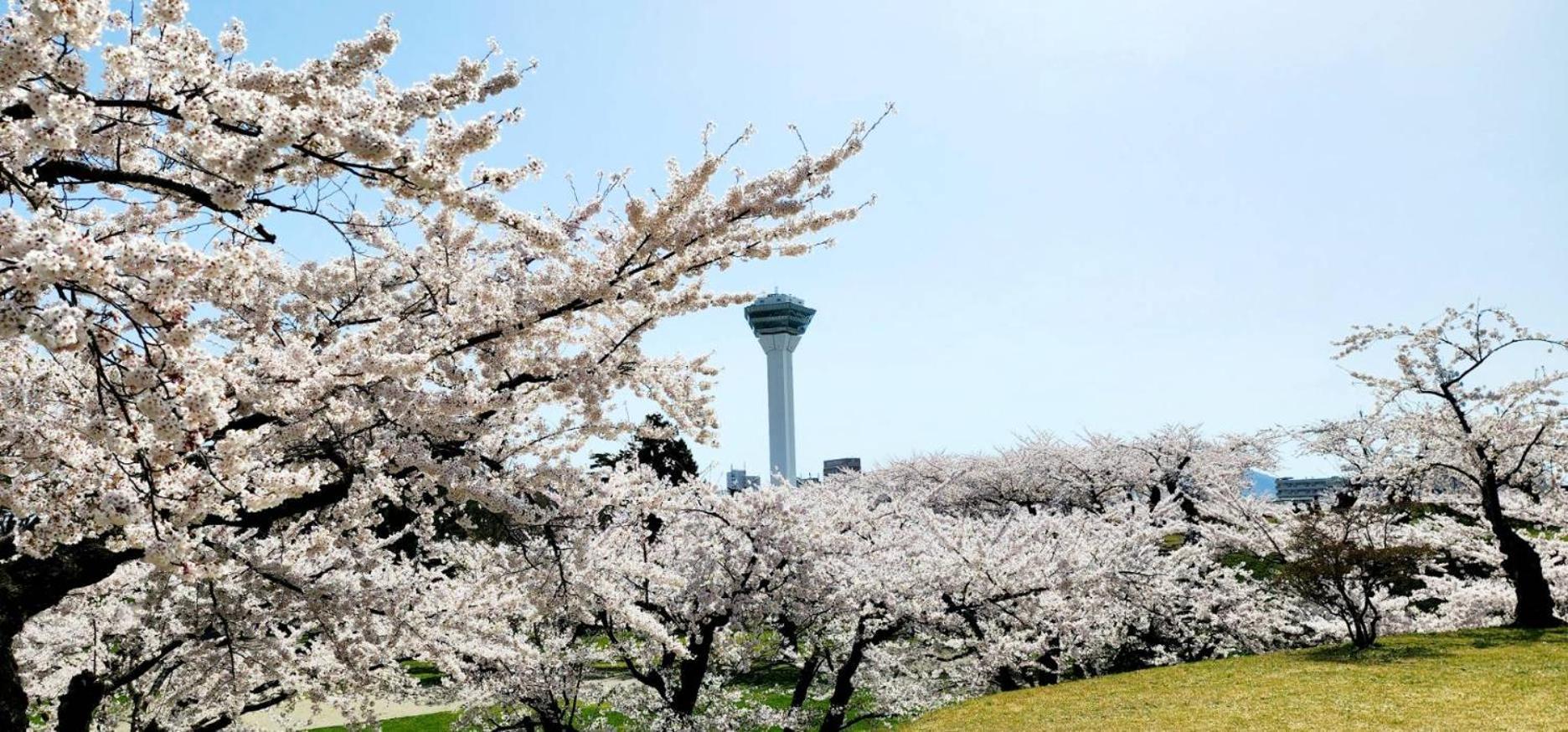 Yunohama Hotel Hakodate Extérieur photo